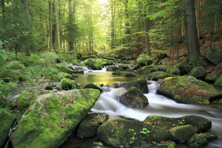 Klassenfahrtenfuchs - Klassenfahrt Eibenstock - Bergbach Pöhla