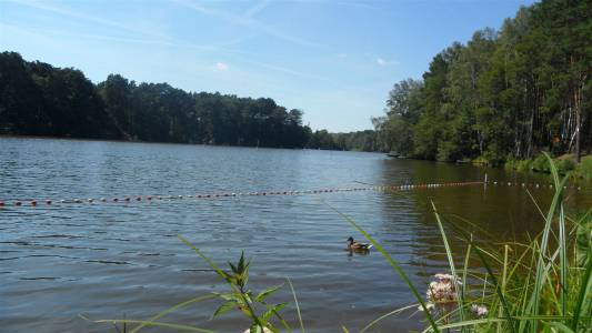 Klassenfahrtenfuchs - Klassenfahrt Prieros - Naturidyll Huschtesee