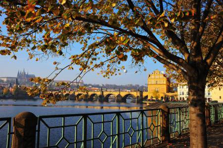 Klassenfahrtenfuchs - Klassenfahrt Prag - Moldaublick mit Karlsbrücke und Hradschin
