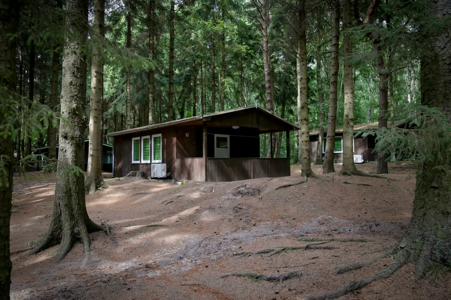Klassenfahrt Dranske - Bungalow im Nadelwald