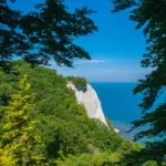 Klassenfahrt Rügen - Blick durch die Blätter eines Baumes auf den Königsstuhl und das blaue Meer