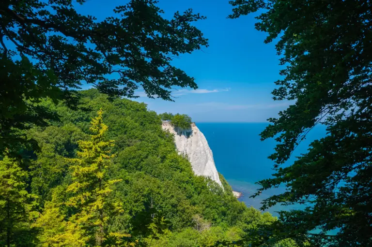 Klassenfahrt Rügen - Blick durch die Blätter eines Baumes auf den Königsstuhl und das blaue Meer