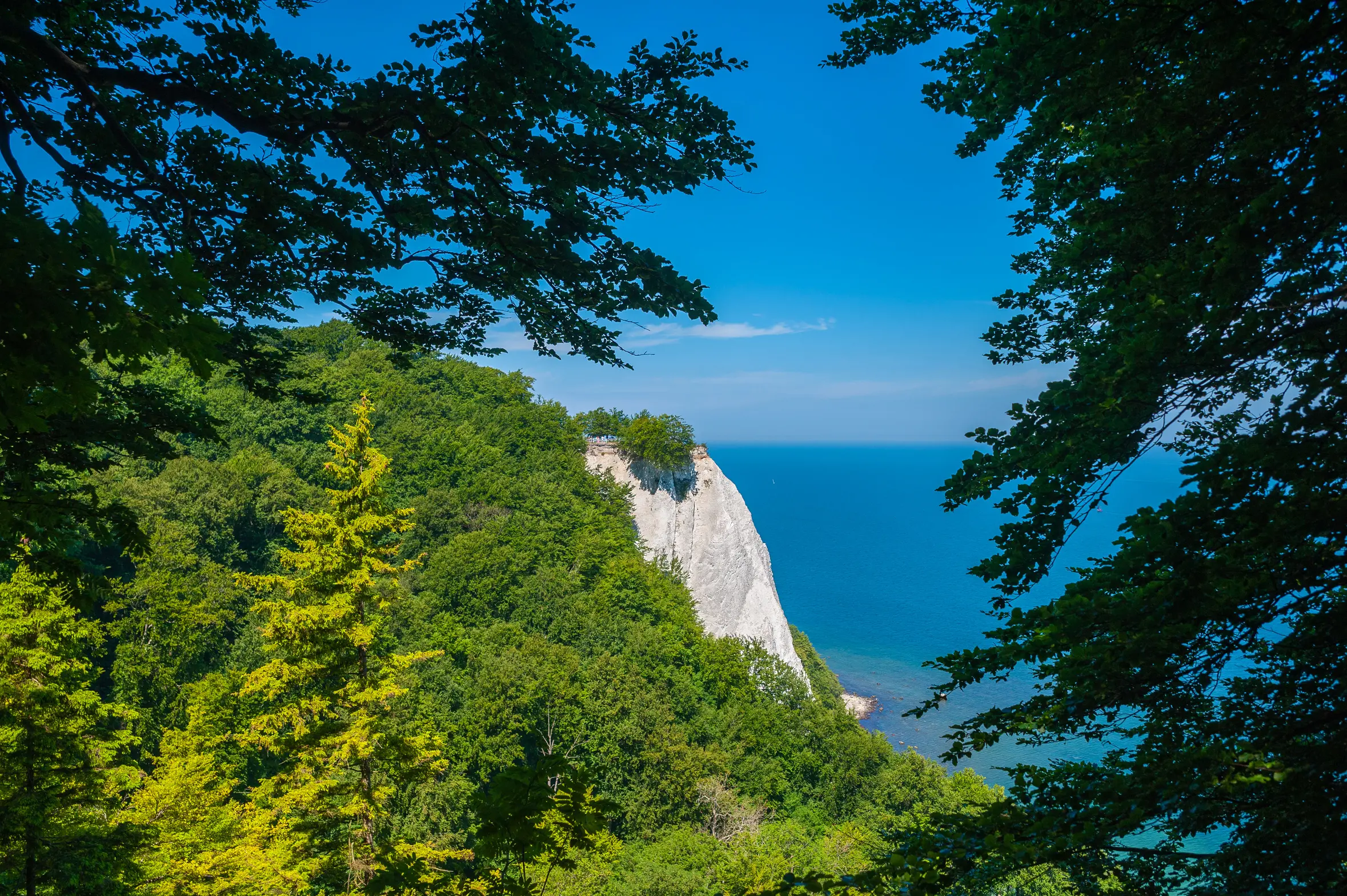 Klassenfahrt Rügen - Blick durch die Blätter eines Baumes auf den Königsstuhl und das blaue Meer