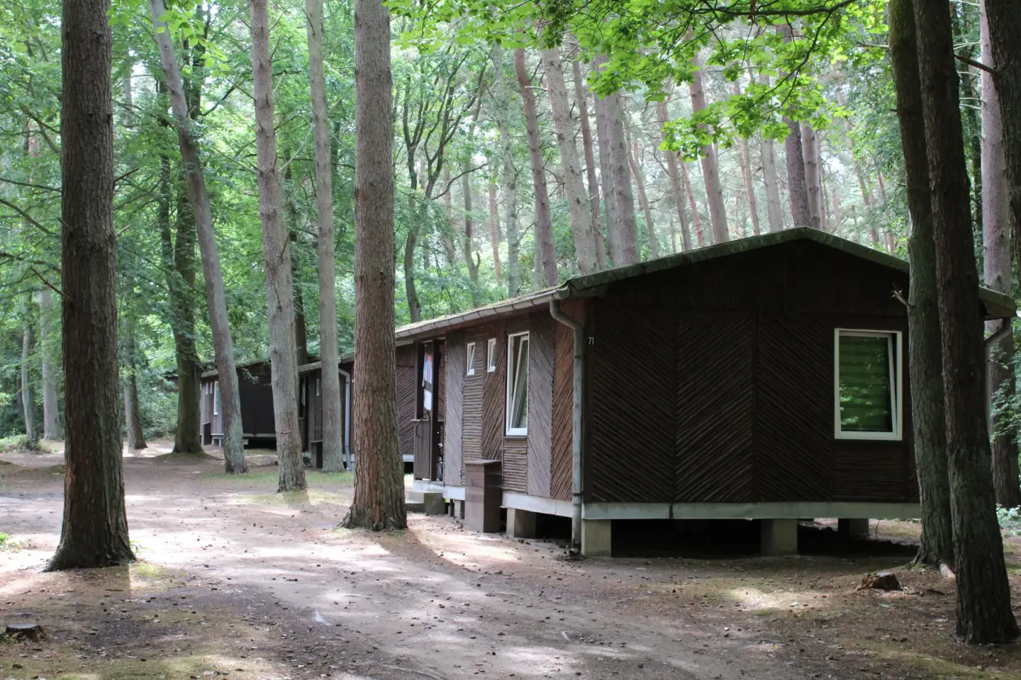 Klassenfahrt Dranske - Bungalow im Nadelwald