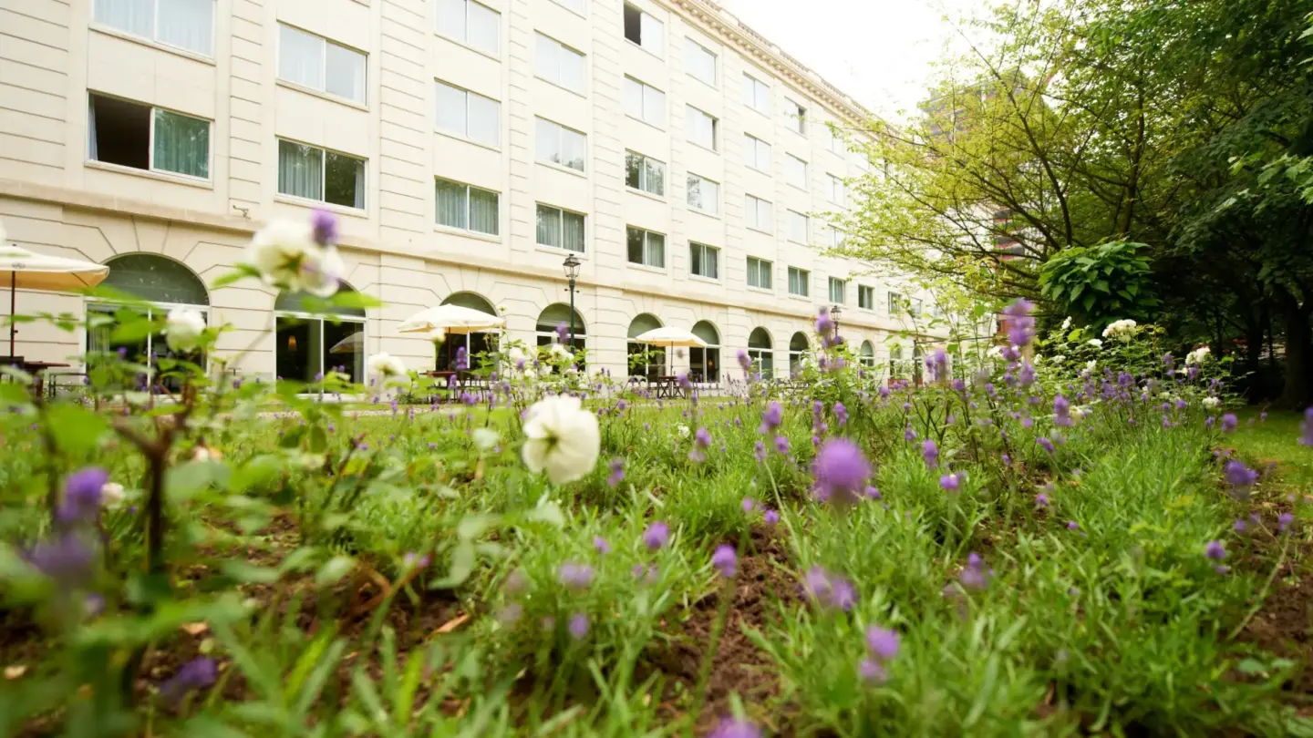 Klassenfahrt Brüssel - Außenbereich mit Blumen im Garten