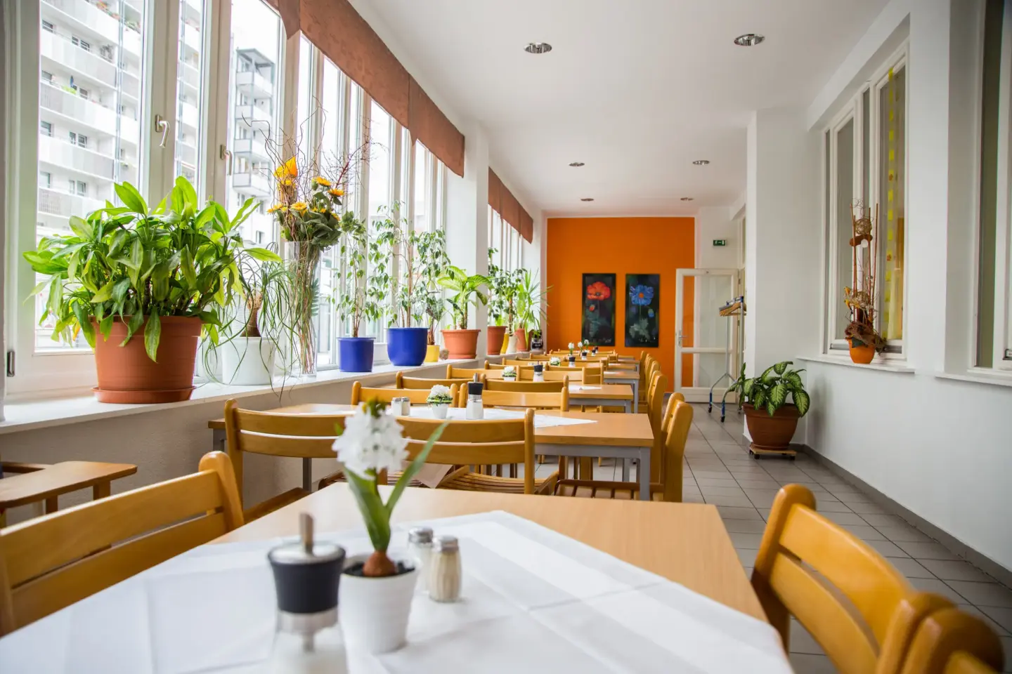 Klassenfahrt Magdeburg - Speisesaal im Wintergarten mit Tischen und Stühlen