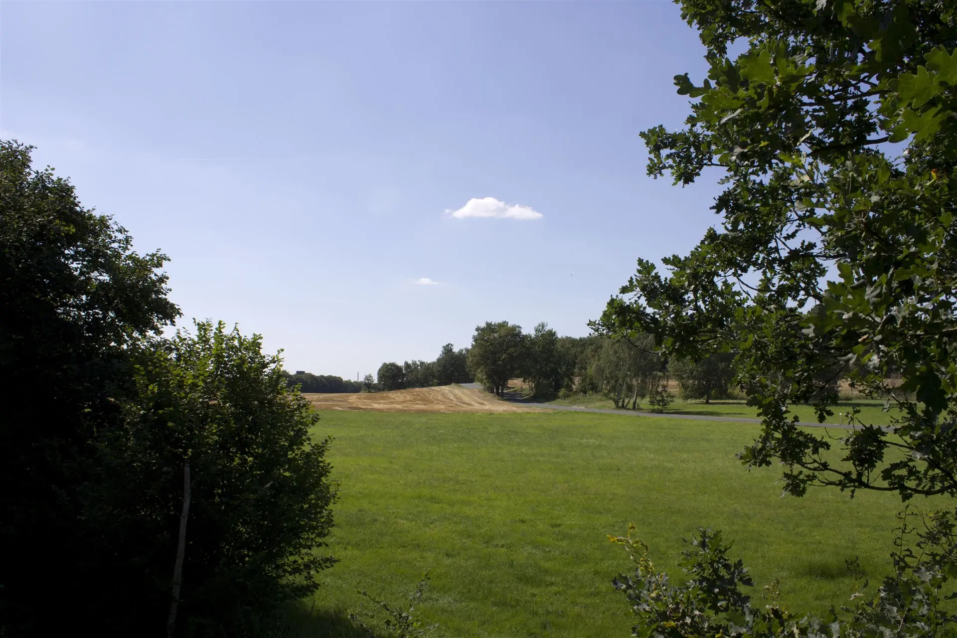 Klassenfahrt Grethen - Die Umgebung mit einem grünen Feld und Bäumen.
