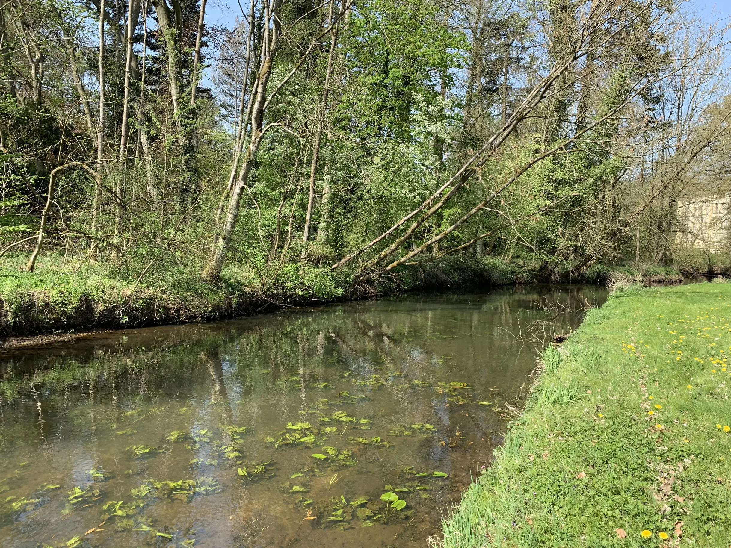 Klassenfahrt Gadow - Die Löcknitz im Frühjahr mit klarem Wasser bei Sonnenschein.