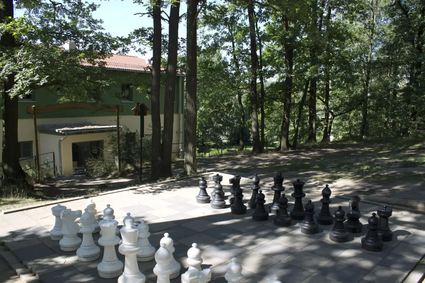 Klassenfahrt Grethen - Schachfeld mit Schachfiguren im Wald