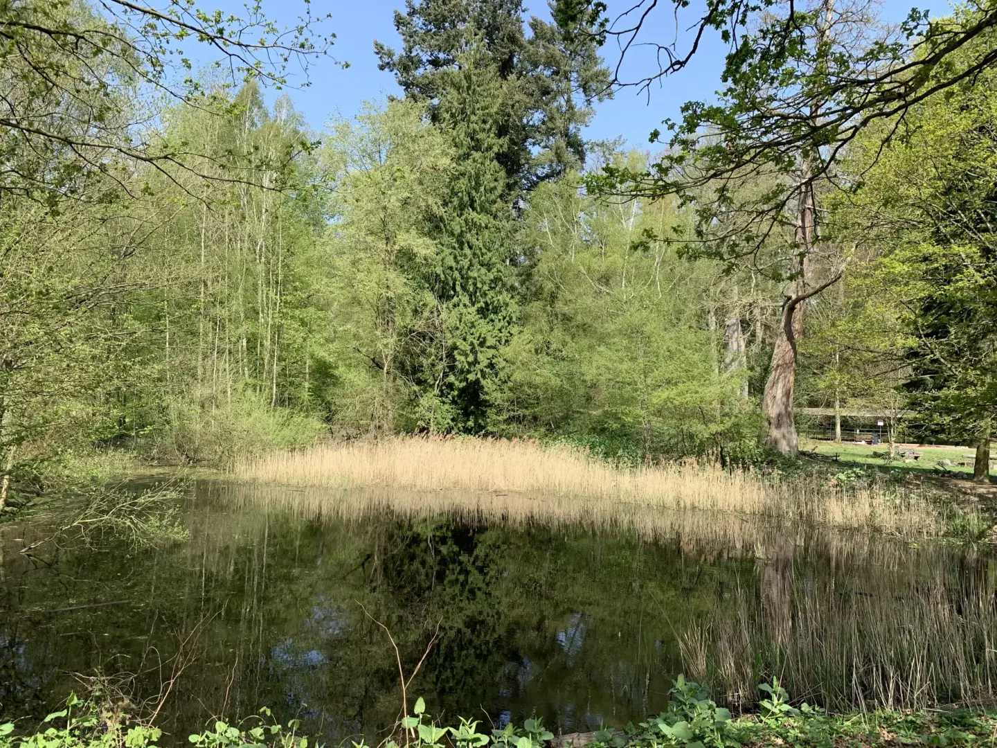Klassenfahrt Gadow - Außengelände mit Fluss und Wald
