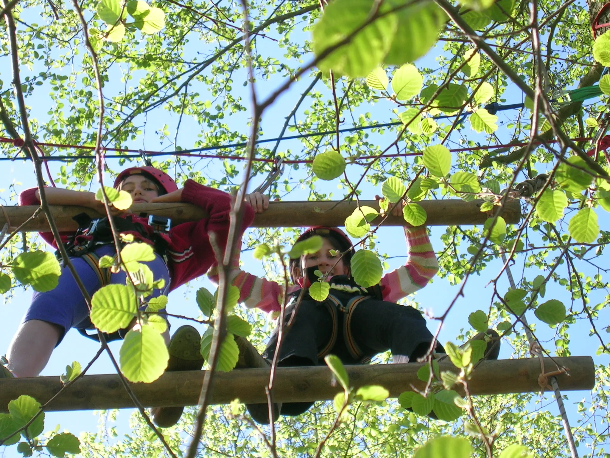Klassenfahrt Dessau - Kinder auf einer Riesenstrickleiter in Bäumen