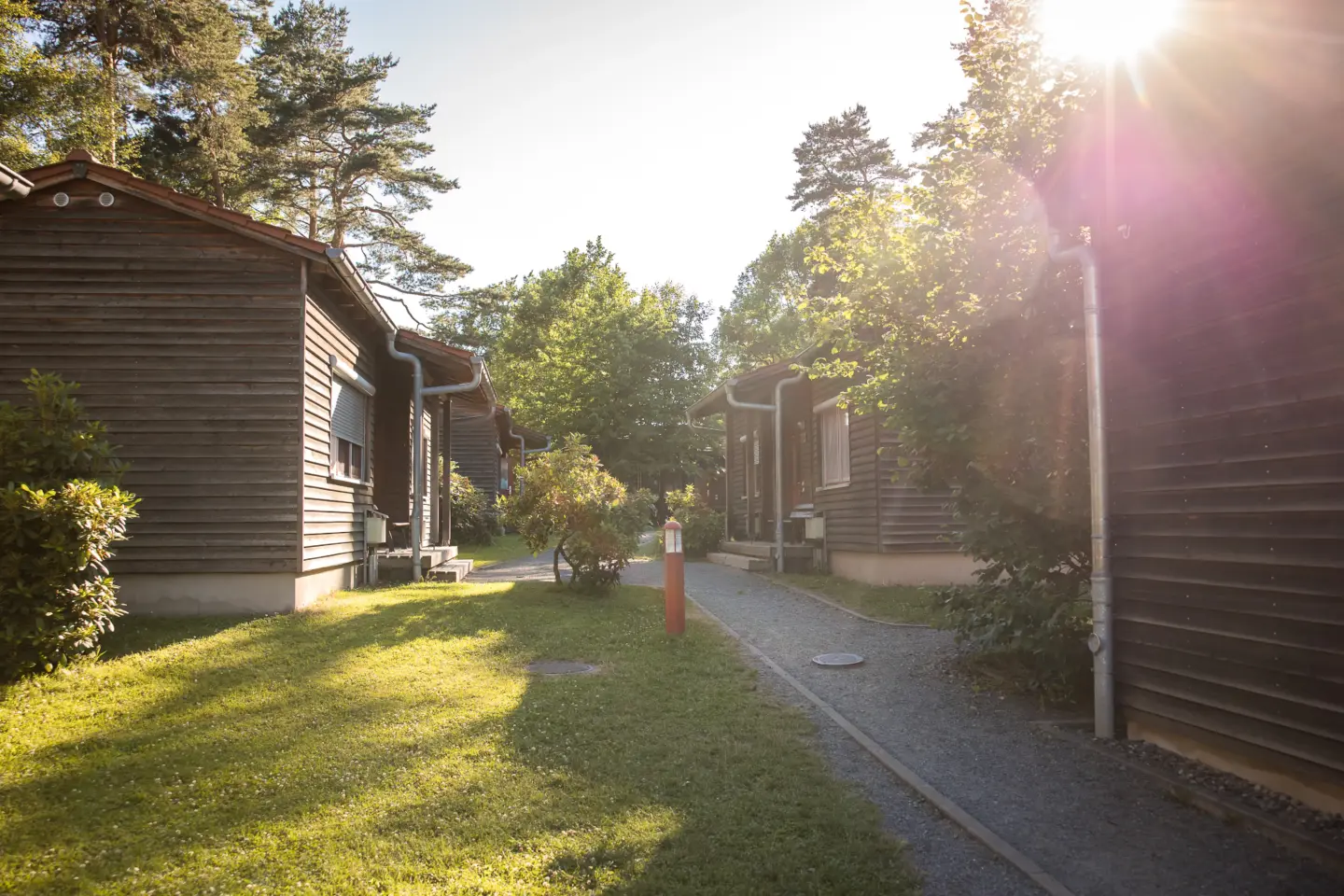 Klassenfahrt Sächsische Schweiz - Bungalowdorf in der Sonne