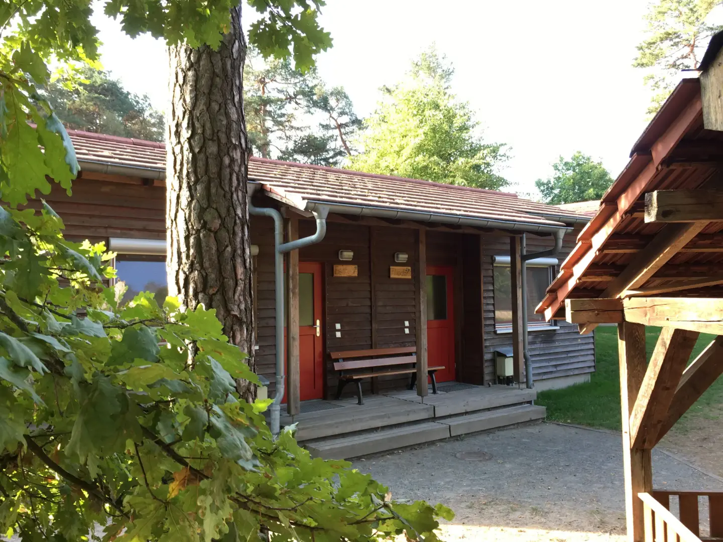 Klassenfahrt Sächsische Schweiz - Bungalow im Grünen